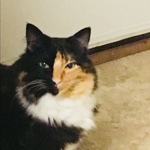 Meet your Posher, Crystal